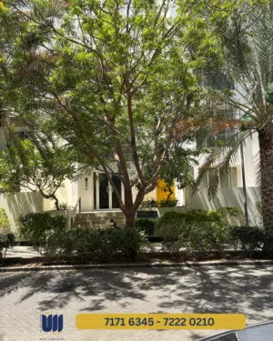 FLAT FOR RENT IN WAVE - شقة للأجار في الموج