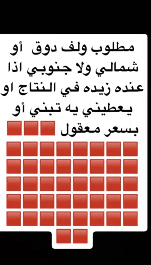 مطلوب كلب بالإعلان موضح