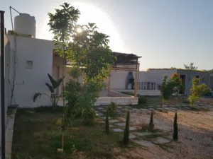 قطعة أرض مساحتها 350 متر مربع واجهتين فى وادى الربيع بها دار ودورة مياه وخزين وأشجار مثمرة