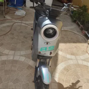 ,دراجة شحن R 9 للبيع