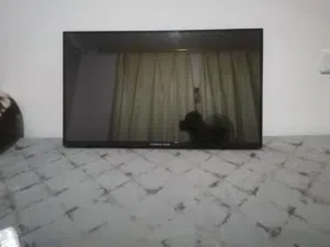 بحاله الوكاله ولا شخط