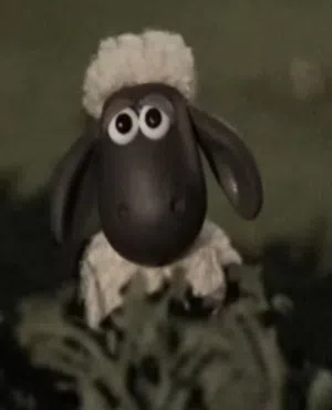 Adam 