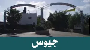 ‏الاستخدام المتعدد ‏.‏ 750 م٢ ‏.‏ المالك‏1