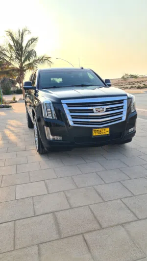 Used Cadillac Escalade in Muscat
