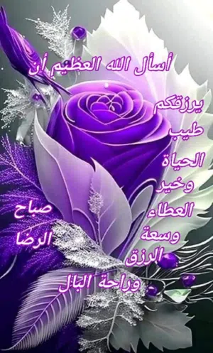 Asif Mehmoodhunjra 