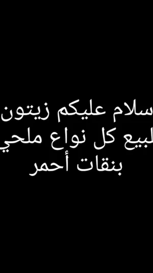 سلام عليكم زيتون للبيع ملحي