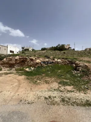 Residential Land for Sale in Zarqa Birayn