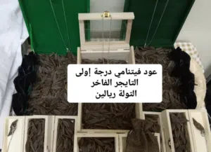 تشيكيلة من العود الفيتنامي الفاخر الفحم التايجر والمروكي والدقة والكلمنتان أنظر الوصف والصور