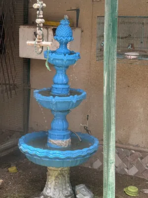 نافوره حديقه