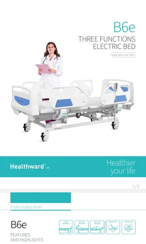 Medical Electric Bed