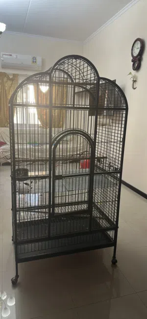 Birds cage Strong steel cage urgent sale
