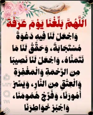 مطلوب شخصين ل مشاركه سكن الفروانيه قطعه 5 مقابل الضجيج متاح عناوين سكن