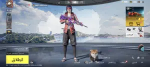 بوبجي للبيع
