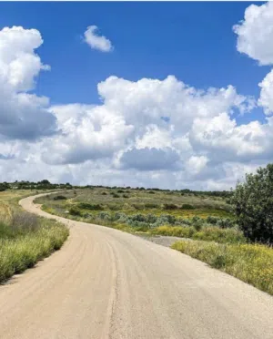 Residential Land for Sale in Nablus Sarra