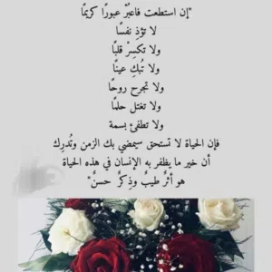 ابو محمد 