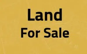 Residential Land for Sale in Amman Shafa Badran