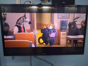 LG TV AND 5.1 SYSTEM