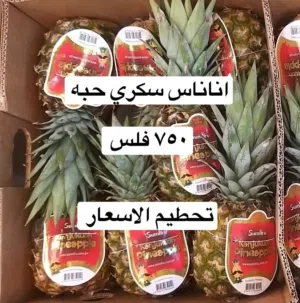 لوجي للخضار والفواكه
