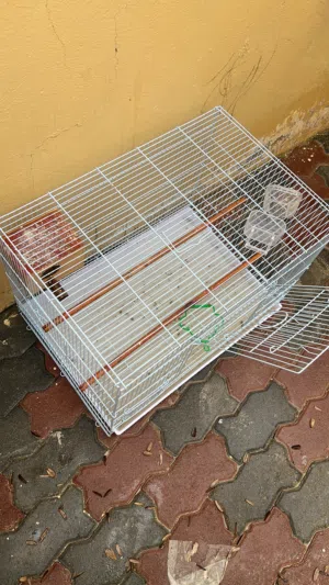 قفص بغبغاء طوله60 وعرضه 40 مع جميع ملحقاته