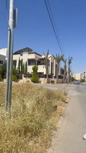 نخيل للبيع