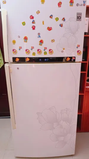 LG 760L fridge