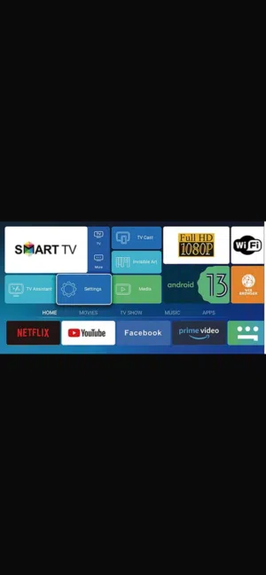 Videocon Television