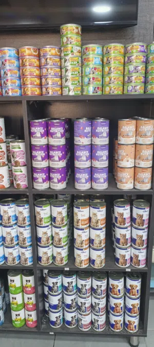 wet food طعام للقطط