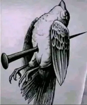 رامي رامي 