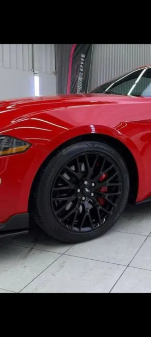 Ford Moustang Ring