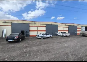 Yearly . 5000 m21