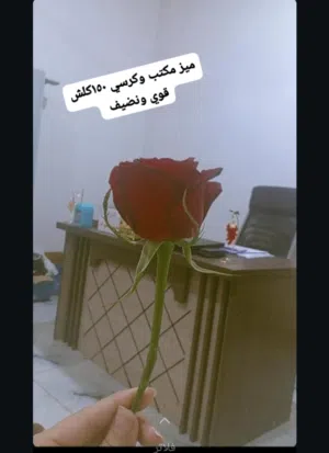 اعراض معهد او روضة