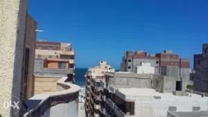 شقه روف تري الشاطئ بوضوح