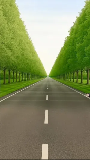Farm Land for Sale in Abu Dhabi Other
