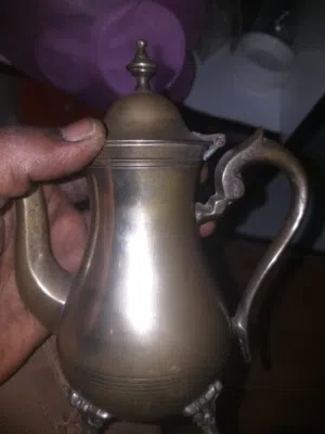 خشب متحجر من مدينة العيون