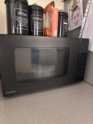 Panasonic Microwave