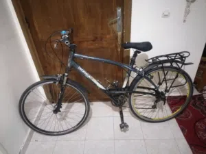 سلام عليكم هاد بيكلا تمن ديله