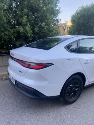 مراوس بكورلا صيني