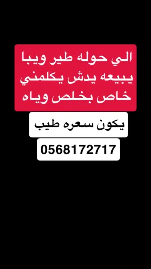 اشتري جميع الطيور