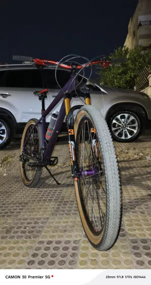 custom bike