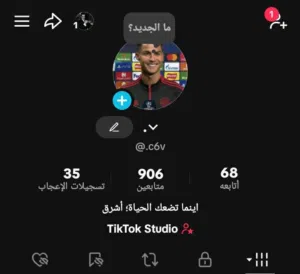 يوزر تيك توك