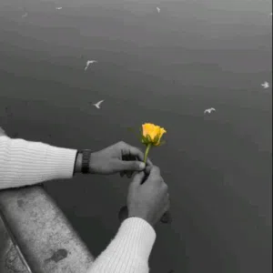 حسام 