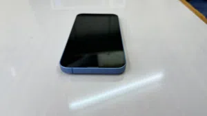 iPhone 13 Blue