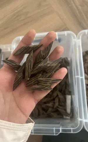 لمحبي الفخامة... عود مميز بجودة عالية 	رائحة تبقى في المكان... وجودة تفرق