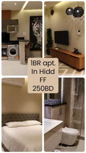 For RENT - Low price - Luxurious - Furnished - Semi furnished - EWA