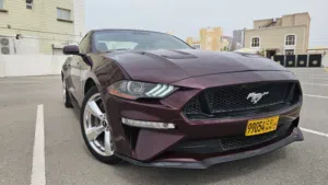 موستانج GT 2019, 5.0, 10 speed ، عنابي، من الداخل بني