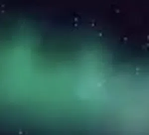 مصطفى 