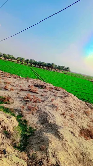 Farm . 50 donum . Landlord1
