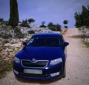 Used Skoda Octavia in Jenin