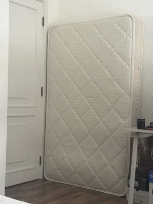 فرشة الريم مفرد و نص