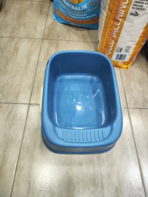 لا تربان القطط الصغيره من عمر شهر الى عمر اربع اشهر مع قبضتين من اليمين ومن الشمال وعليه عرض جدا قوي